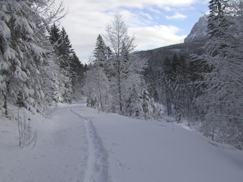 Ferienwohnung Am Roemerweg Wald Інцель Екстер'єр фото