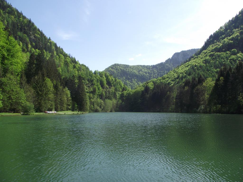 Ferienwohnung Am Roemerweg Wald Інцель Екстер'єр фото