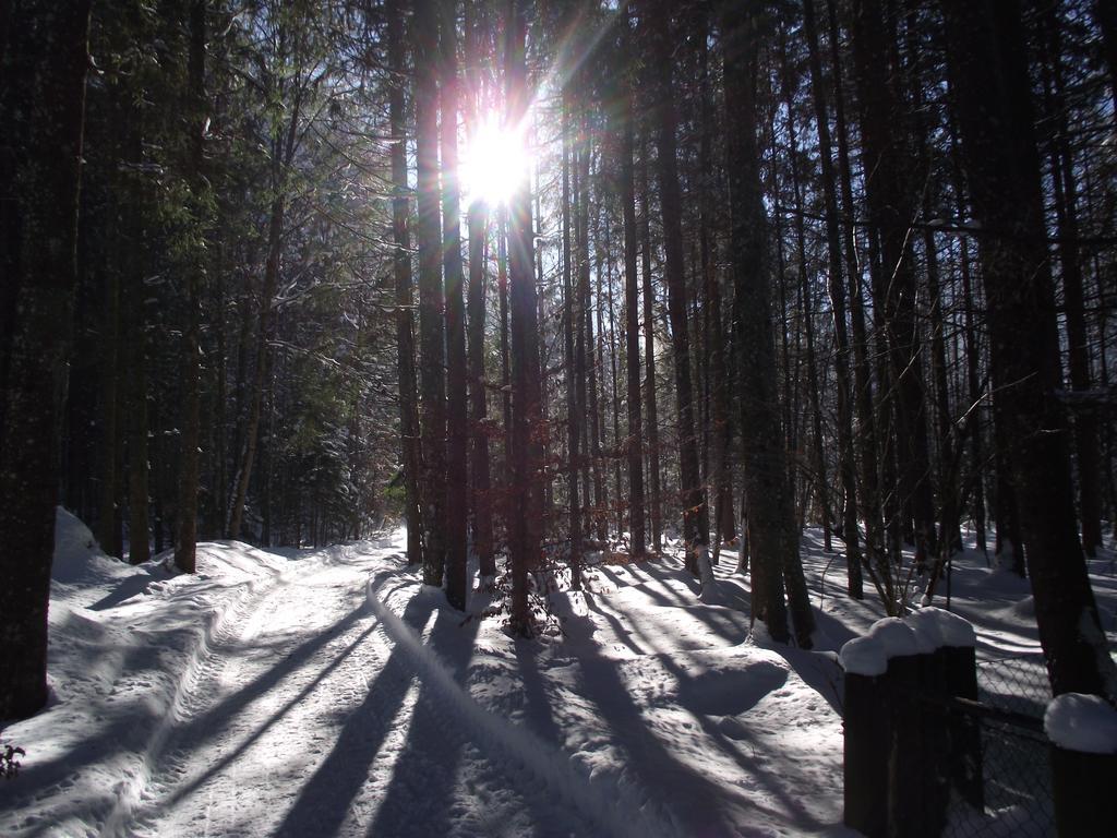Ferienwohnung Am Roemerweg Wald Інцель Екстер'єр фото